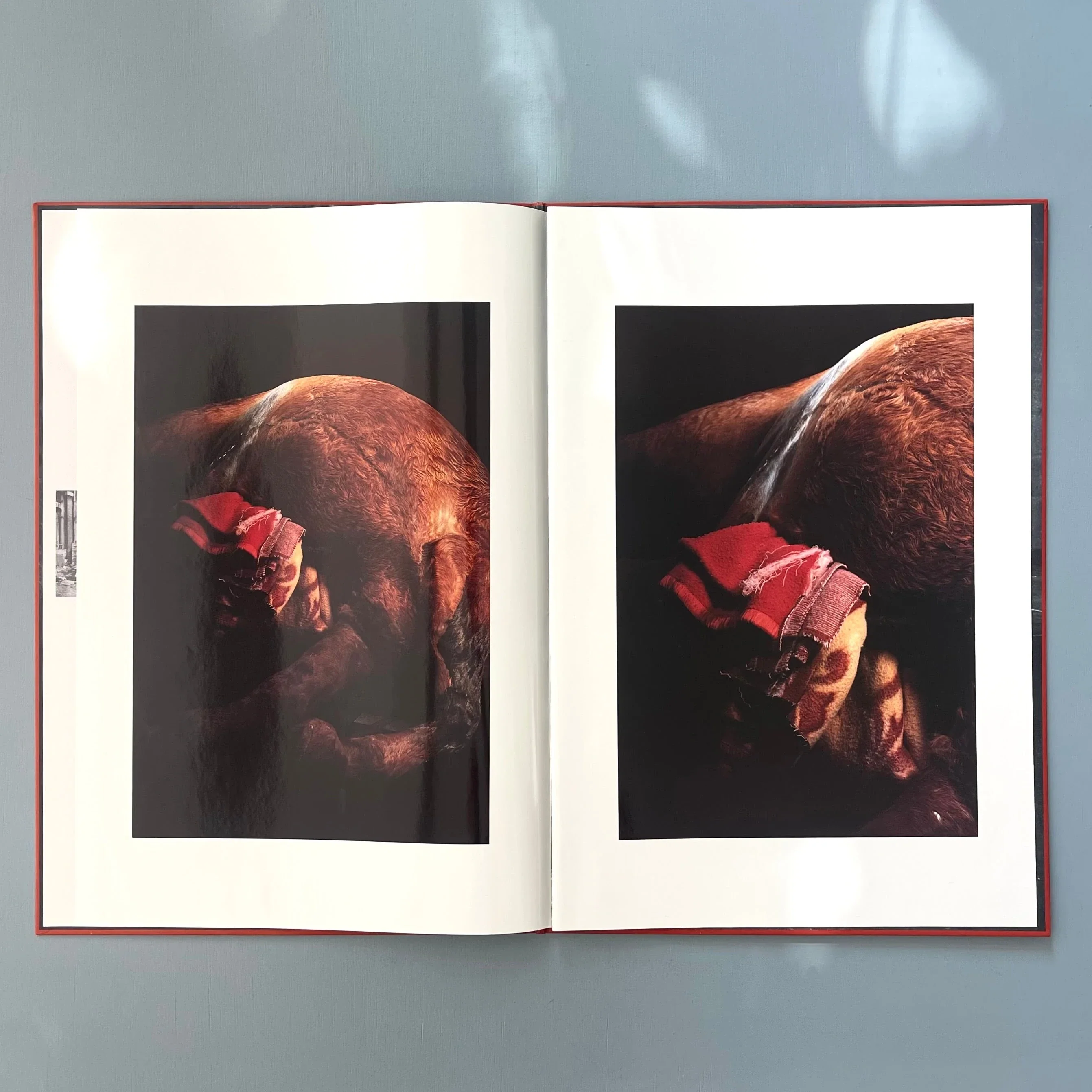 Thumb 4